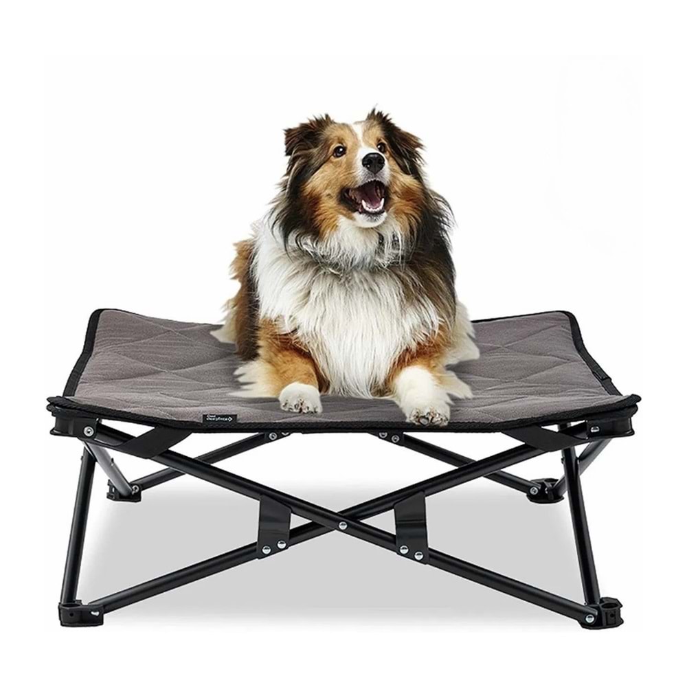 King Kamp Sedum Pet Sandalye KKC2104