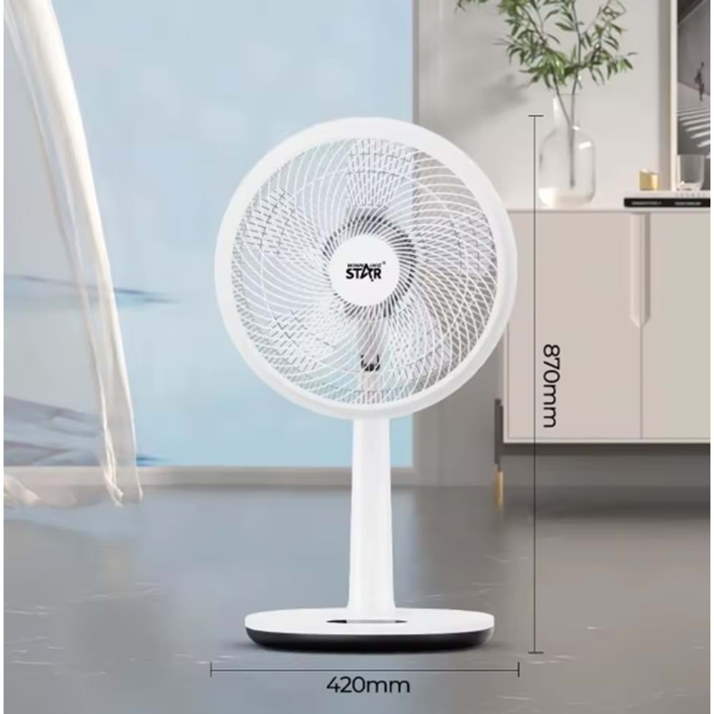 Winning Star ST-4206 Vantilatör