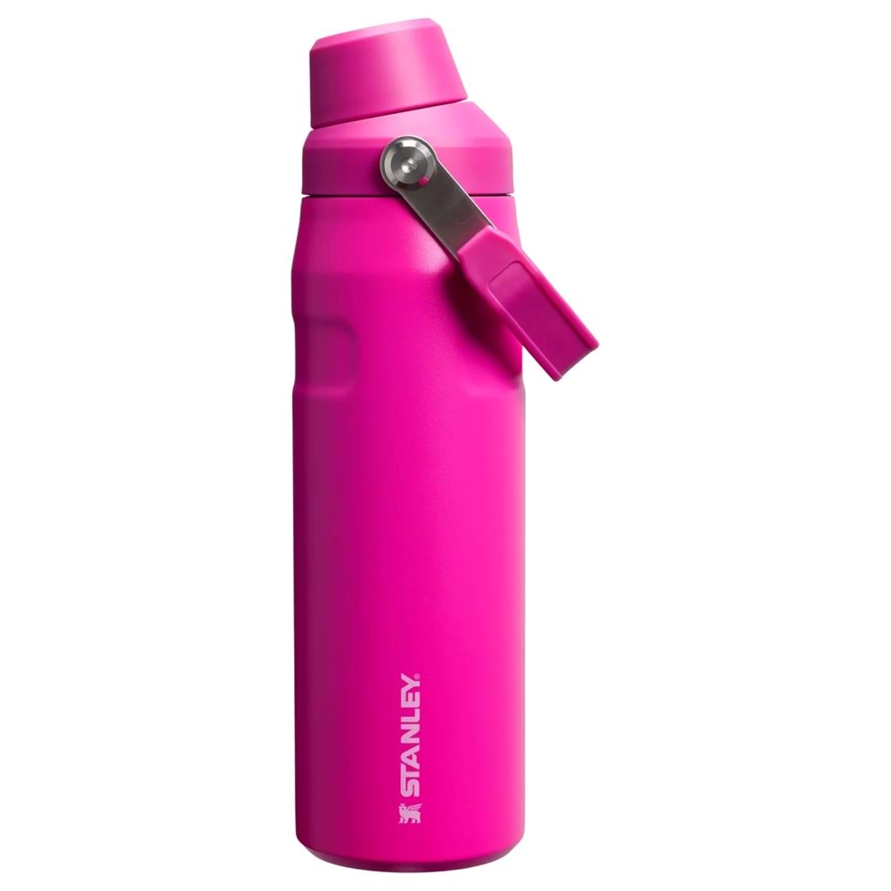 Stanley Iceflow Bottle 24 Oz Fast Flow Violet