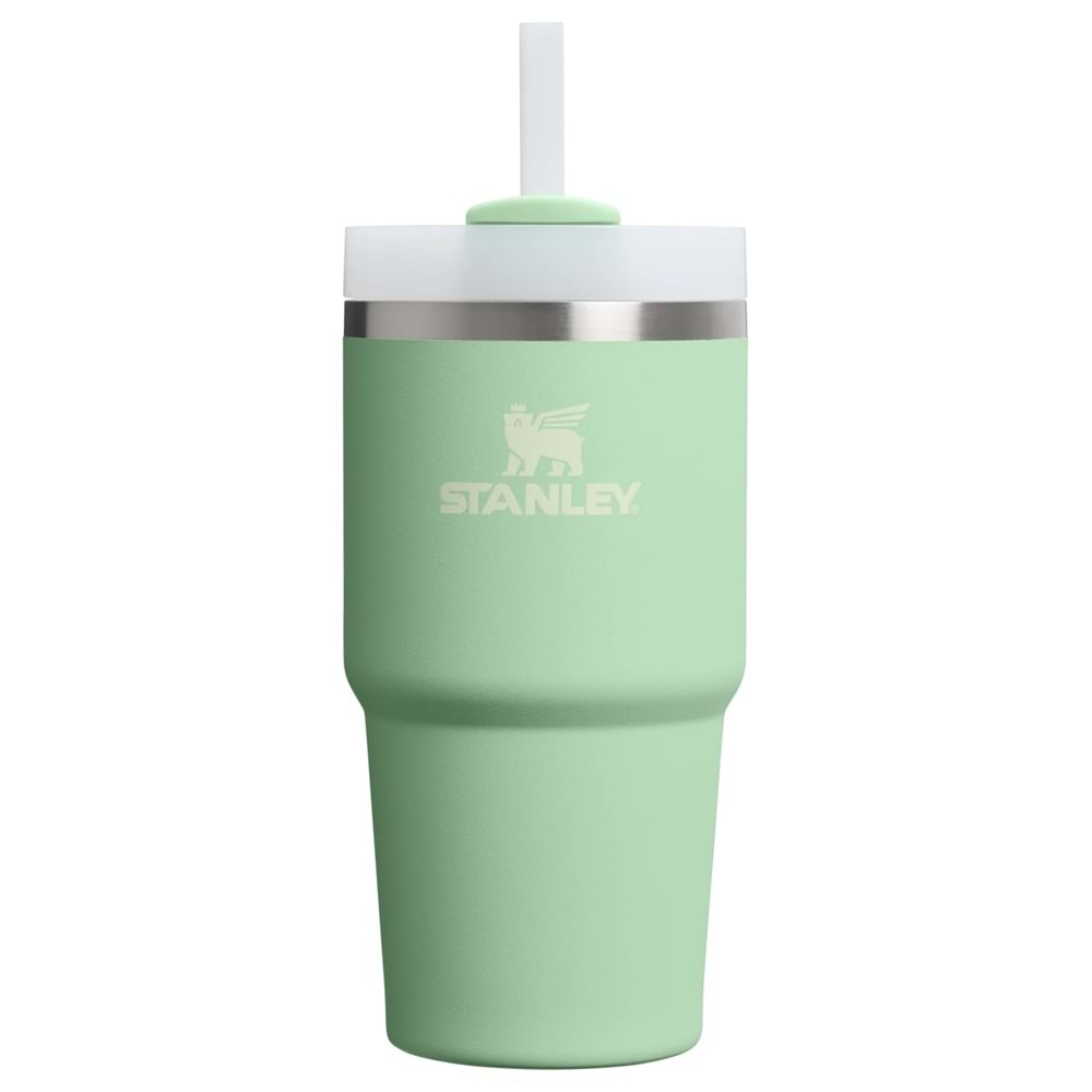 Stanley Quencher 20 Oz Pistachio