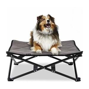 King Kamp Sedum Pet Sandalye KKC2104