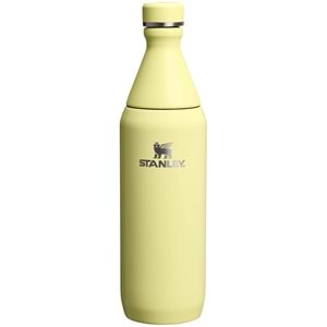 Stanley Slim Bottle 20 Oz Pamelo