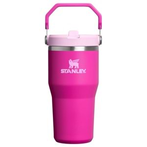Stanley Flip straw 20 Oz Violet