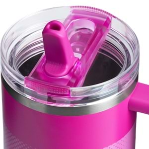 Stanley Quencher 40 Oz ProTour Violet