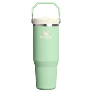 Stanley Flip Straw 30 Oz Pistachio