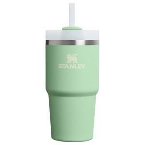 Stanley Quencher 20 Oz Pistachio