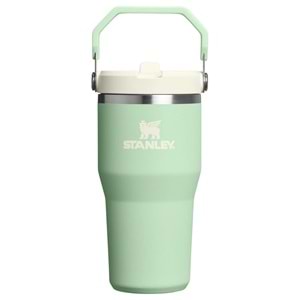 Stanley Flip Straw 20 Oz Pistachio