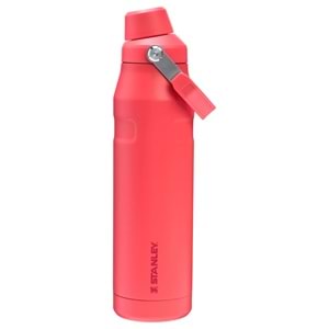Stanley Iceflow Bottle 20 Oz Fast Flow Gold coral