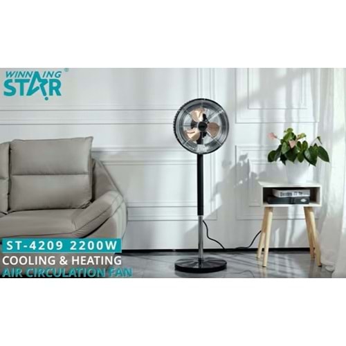 Winningstar st-4209 Cooling And Heating Elektirikli Soba