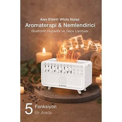 Hava Nemlendirici Sesli 2553101