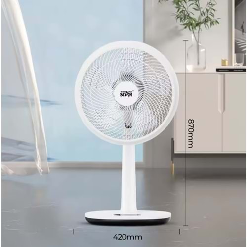 Winning Star ST-4206 Vantilatör