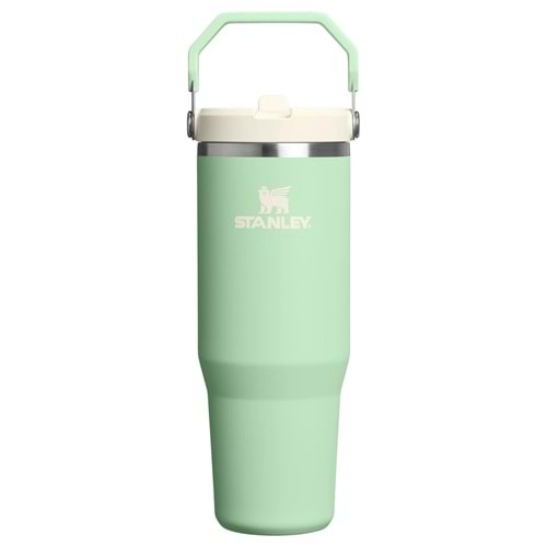 Stanley Flip Straw 30 Oz Pistachio
