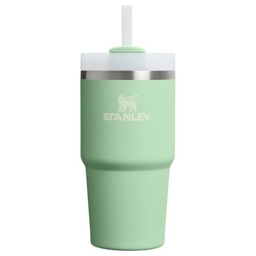 Stanley Quencher 20 Oz Pistachio