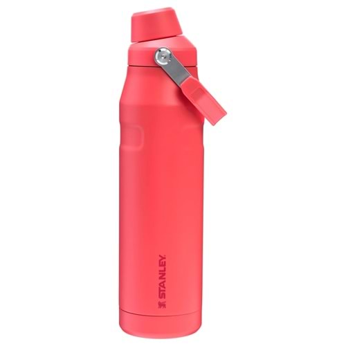 Stanley Iceflow Bottle 20 Oz Fast Flow Gold coral