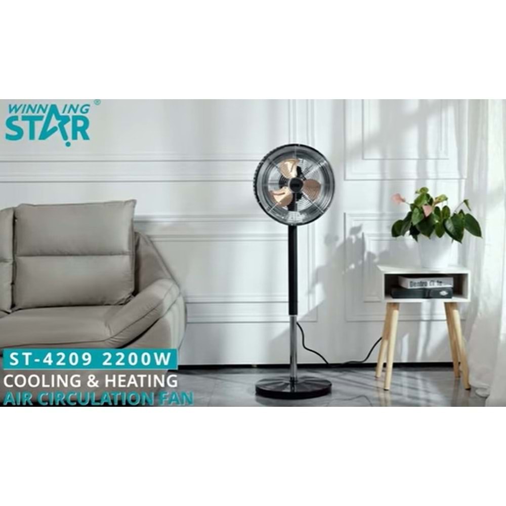Winningstar st-4209 Cooling And Heating Elektirikli Soba