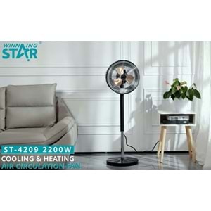 Winningstar st-4209 Cooling And Heating Elektirikli Soba